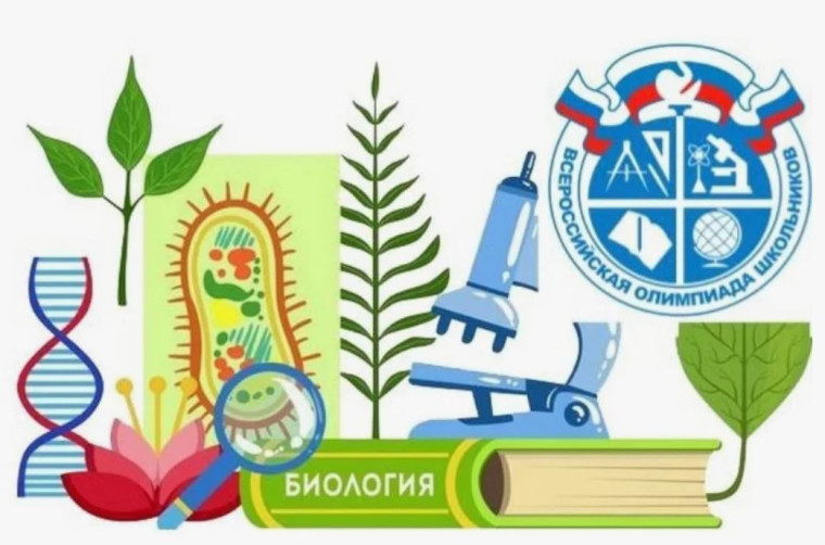Итоги участия в МЭ ВсОШ по биологии .